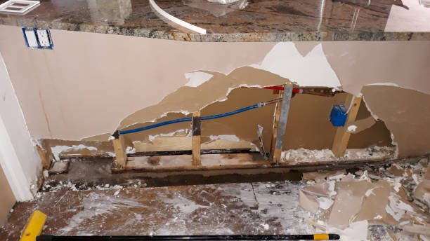 Best 24-hour water damage restoration  in Farr West, UT