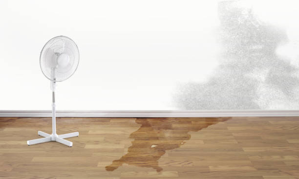 Best Local water damage restoration  in Farr West, UT