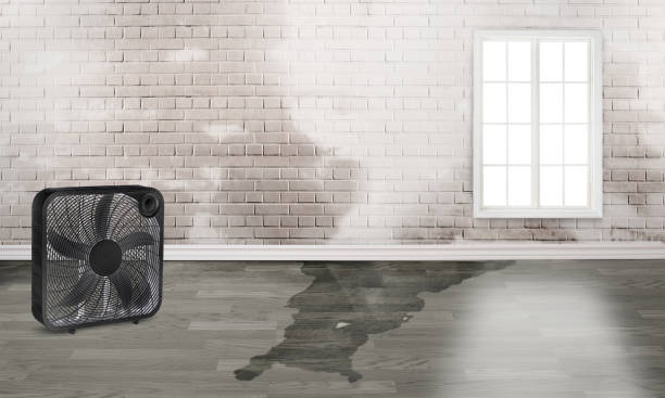 Water damage restoration mold remediation in UT