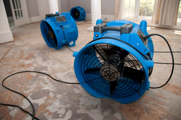Best 24/7 water damage repair  in Farr West, UT