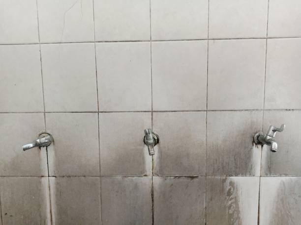Best Flooded house restoration  in Farr West, UT