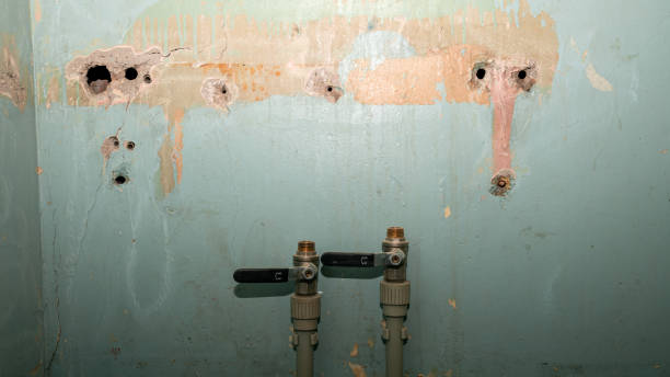 Best Emergency water damage restoration  in Farr West, UT