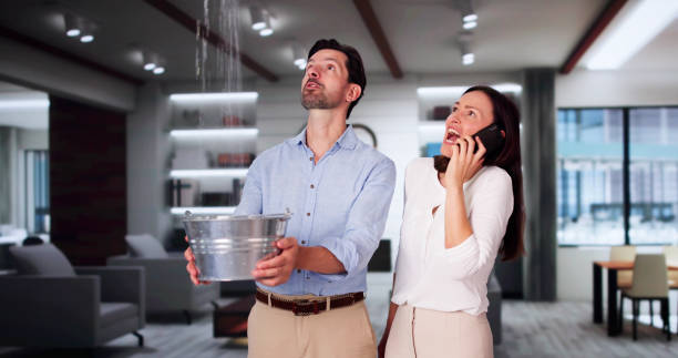Best Ceiling water damage repair  in Farr West, UT